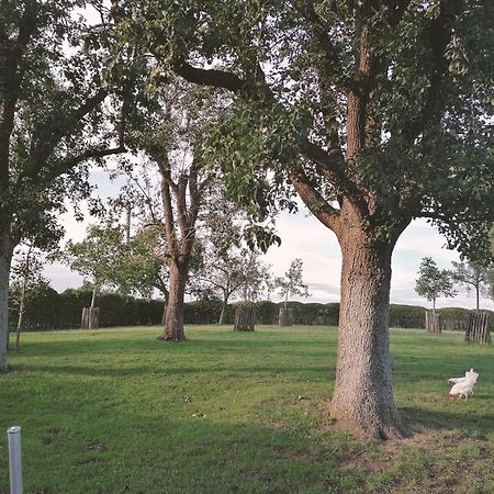 Het Meikenshof Denterghem Exterior foto